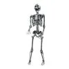 Morris Costumes 5' Light Up Skeleton -All Props Sales 5 light up skeleton 505152