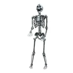Morris Costumes 5' Light Up Skeleton