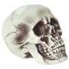 Morris Costumes 7" Realistic Skull -All Props Sales 7 realistic skull 483311