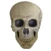Morris Costumes 9.5" Foam Skull Prop 2 Morris Costumes 9.5" Foam Skull Prop -All Props Sales 95 foam skull prop 629773