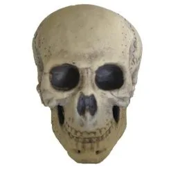 Morris Costumes 9.5" Foam Skull Prop