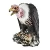 Balloon Agencies Animated Zombie Vulture -All Props Sales animated zombie vulture 494684