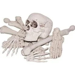 Sunstar Industries Bag Of Bones.