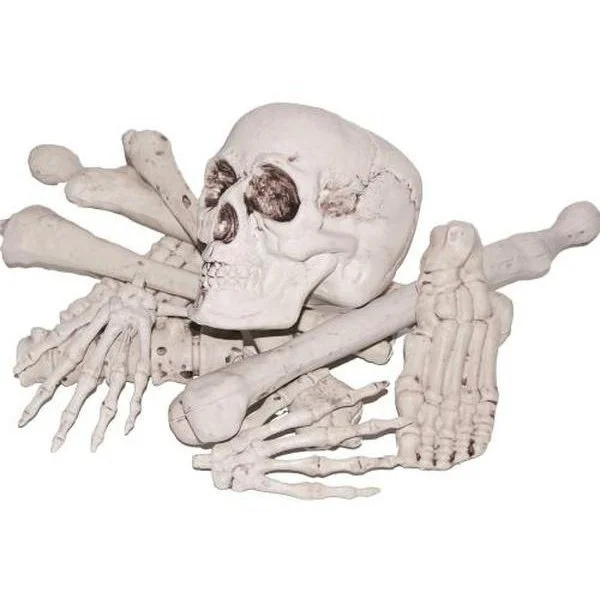 Sunstar Industries Bag Of Bones. 3 Sunstar Industries Bag Of Bones.