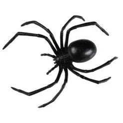 Fun World Black Widow Spider