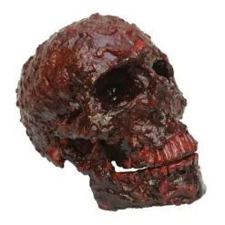 Morris Costumes Blood Scab Resin Skull Prop