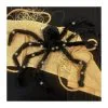 Charlotte Light Up Large Posible Spider -All Props Sales charlotte light up large posible spider 663104