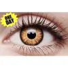 Crazy One-Day Contact Lens - Twilight -All Props Sales crazy one day contact lens twilight 437494