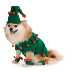 Elf Pet Costume Size Xl
