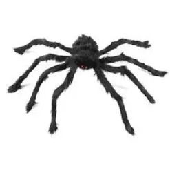 Interalia Group Giant Black Spider