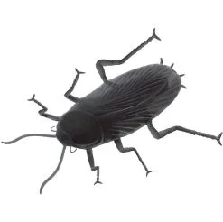 Balloon Agencies Giant Cockroach Prop