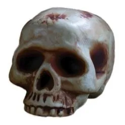 Fun World Half Jaw Skull Prop 20cm