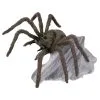 AMSCAN Harry Potter Aragog Jumping Spider -All Props Sales harry potter aragog jumping spider 145235