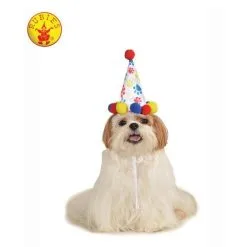 Paw Print Boy Pet Birthday Hat Size S M