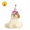 Paw Print Girl Pet Birthday Hat Size M L -All Props Sales paw print girl pet birthday hat size m l 998683