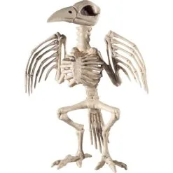 Raven Skeleton Prop