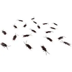 Morris Costumes Roach Explosion Set Of 20