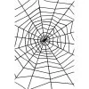 Spider & Spiders Web -All Props Sales spider spiders web 592654